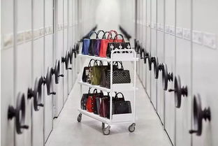 选择我们的意大利档案整理服务 专业、高效与安心